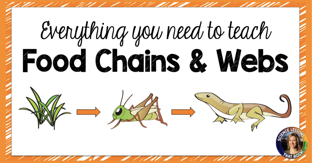 food-chains-high-school