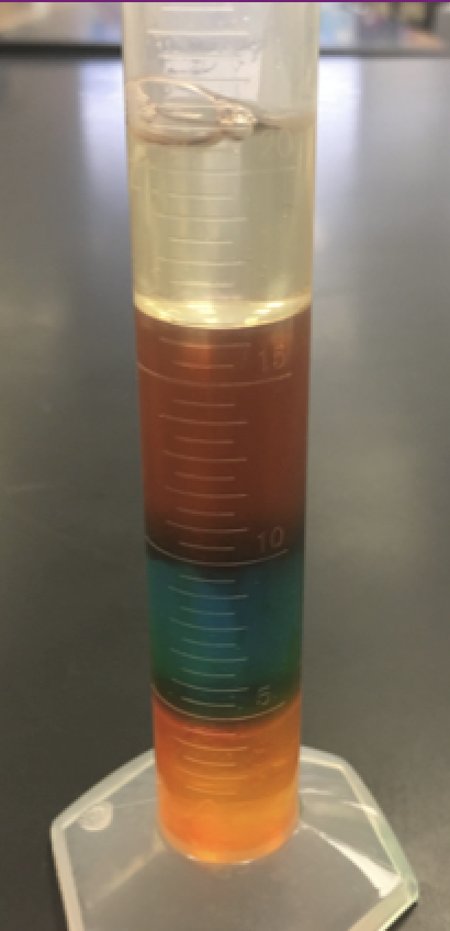 5th grade density experiments