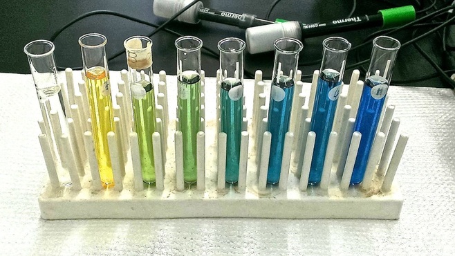 Carbon cycle lab: Observing photosynthesis and cellular respiration