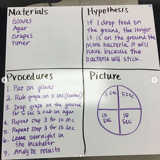 Bacterial culture lab procedures