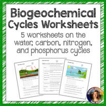 Biogeochemical cycles worksheets from Science Lessons That Rock