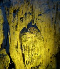 Virtual field trip Son Doong Cave