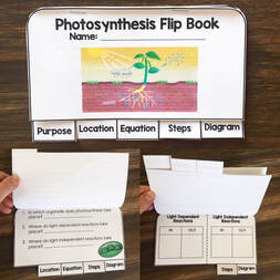 photosynthesis-flip-book
