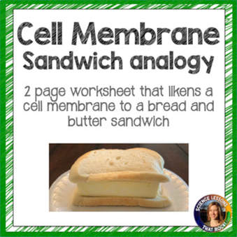 Cell-Membrane-Sandwich-Analogy