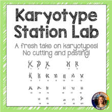 Karyotype-station-lab