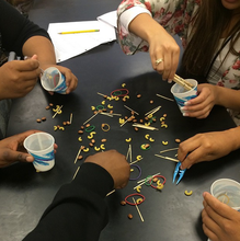 Battle of the beaks lab from science lessons that rock