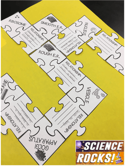 Organelle puzzle pieces from science lessons that rock