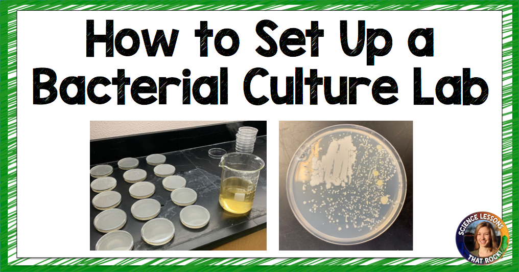 How To Set Up A Bacterial Culture Lab Science Lessons That Rock