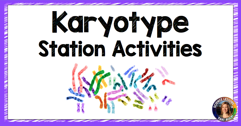 karyotype-lesson-plan