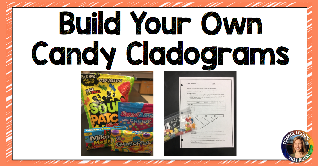 Candy cladogram lesson plan from Science Lessons That Rock