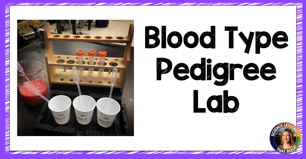Blood type pedigree lab from Science Lessons That Rock