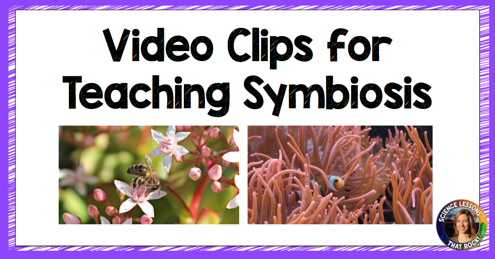 Video clips for teaching symbiosis