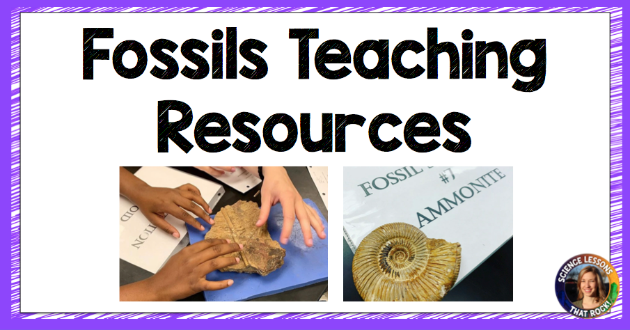fossil-lesson-plans-high-school
