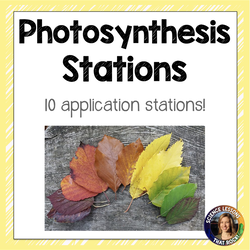 photosynthesis-station-activity