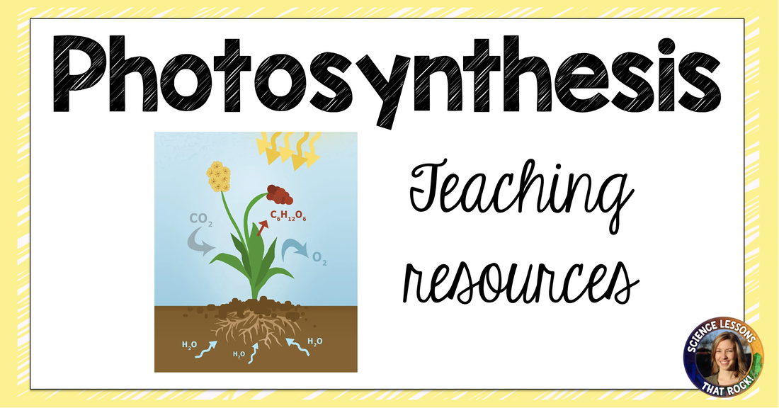 photosynthesis equation for kids