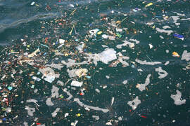 pacific-garbage-patch-lesson-plan
