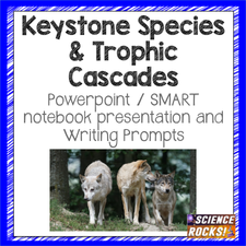 Keystone species and trophic cascades lesson plan