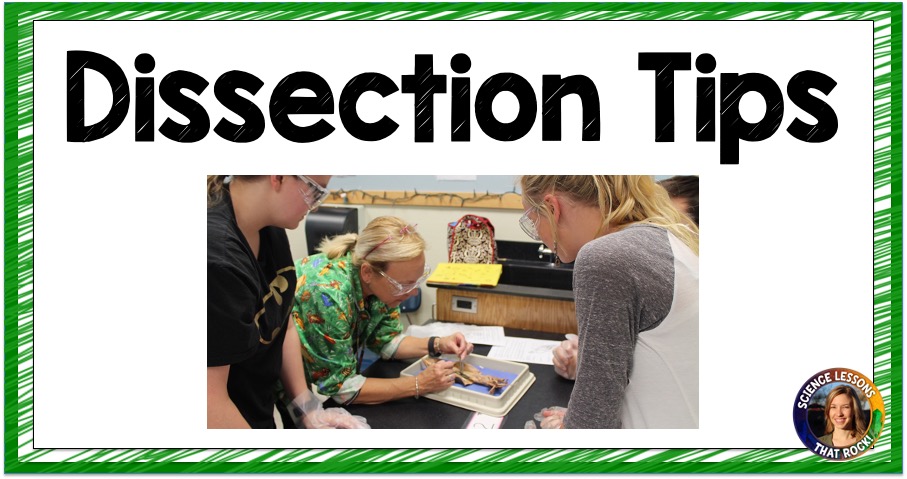 Dissection-tips