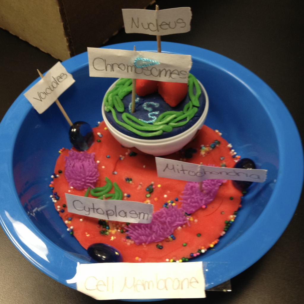 Tips for Teaching Cell Organelles - Science Lessons That Rock