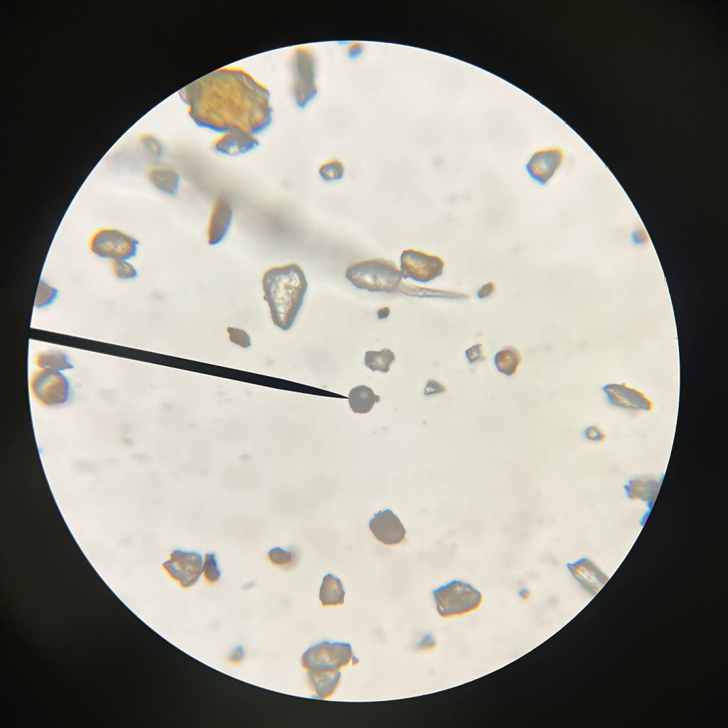 micrometeorites-microscope-lab