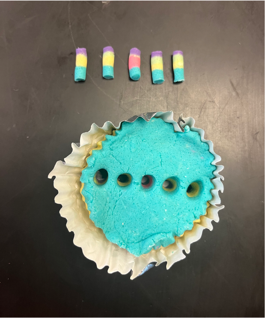 cupcake-stratigraphy-layers