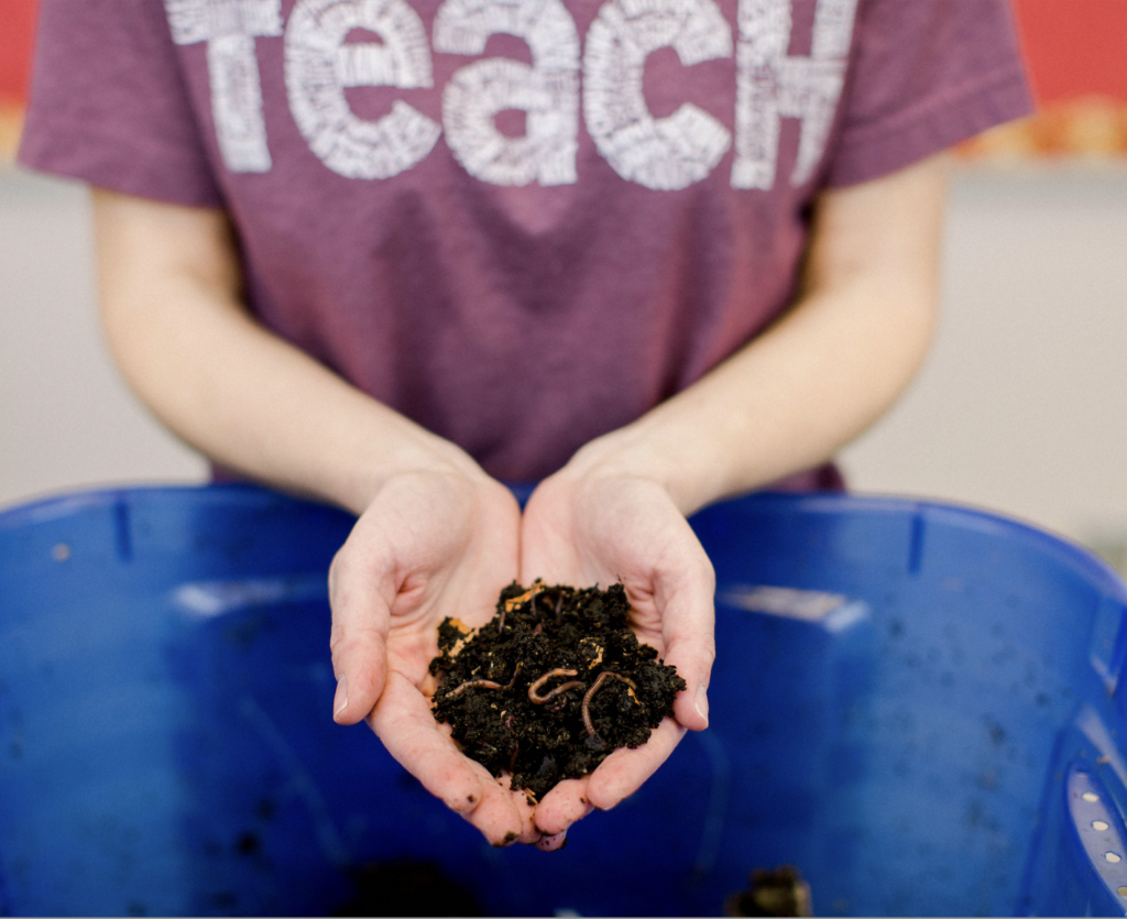 compost-bin-ecology