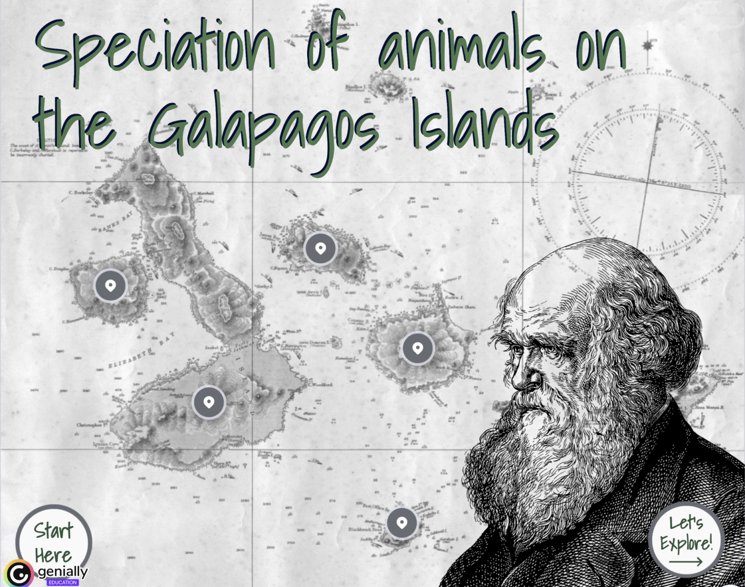 Speciation Lesson Ideas for Biology - Science Lessons That Rock