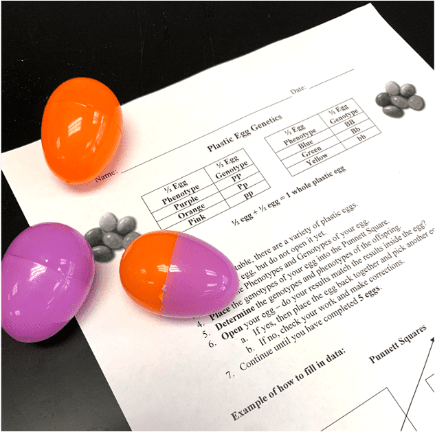 easter-egg-genetics